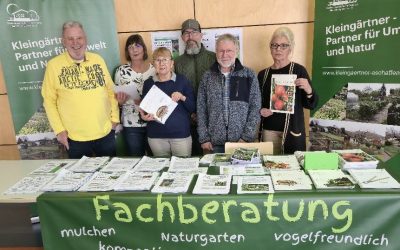 Generalversammlung: Keine Balkonkraftwerke in Kleingärten